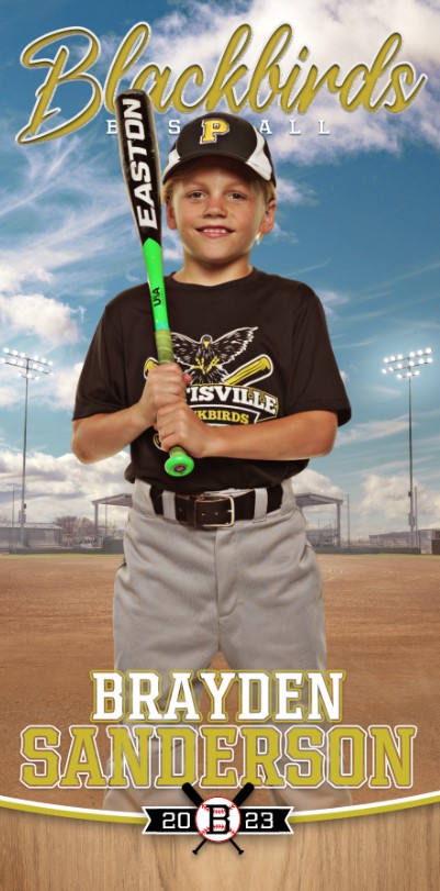 Individual Sports Player Banners